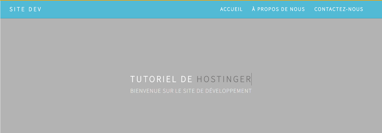 Modifier le titre et le logo