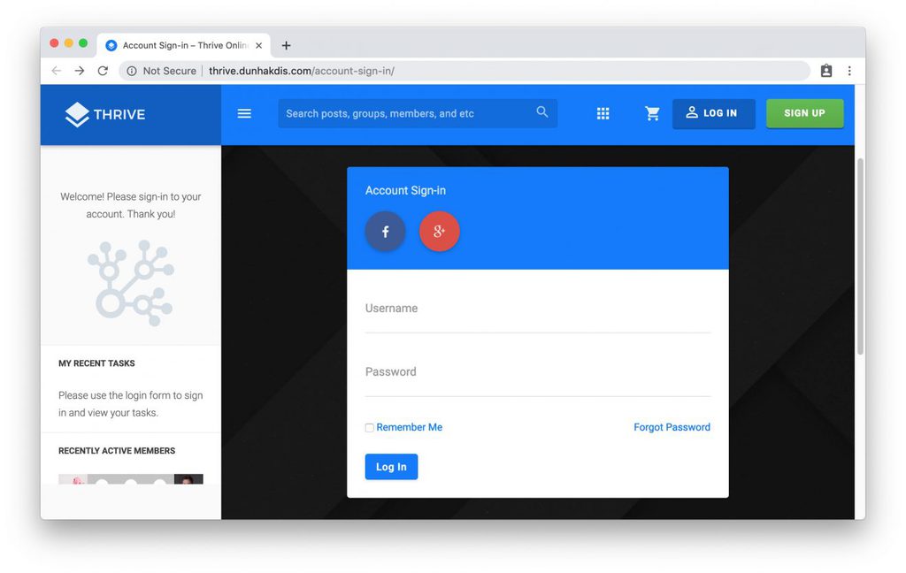 Th&egrave;me Thrive pour intranet WordPress
