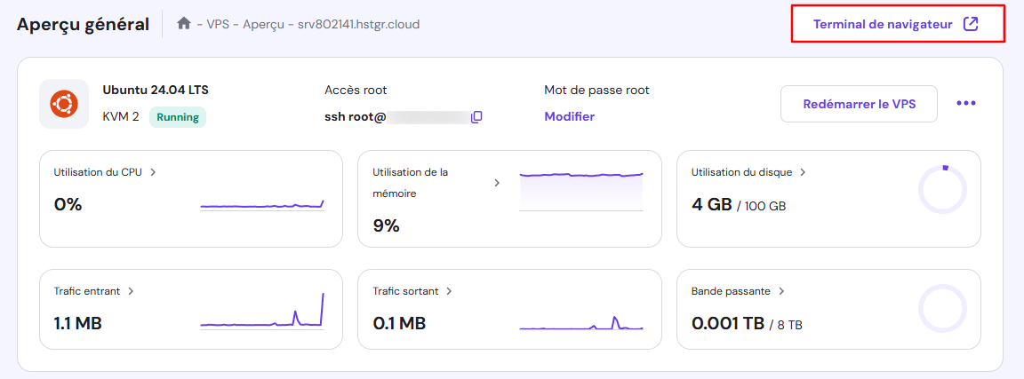 Le bouton Terminal de navigateur sur la page d'aperçu du VPS de hPanel