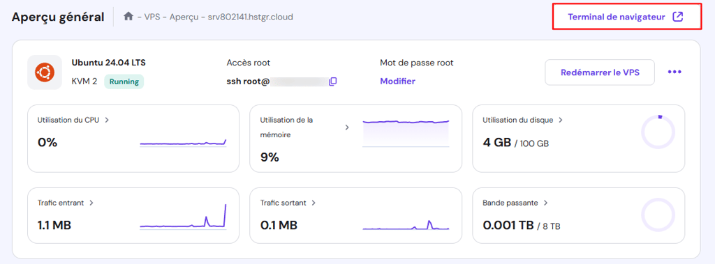 Bouton du terminal du navigateur dans l'aper&ccedil;u du VPS hPanel