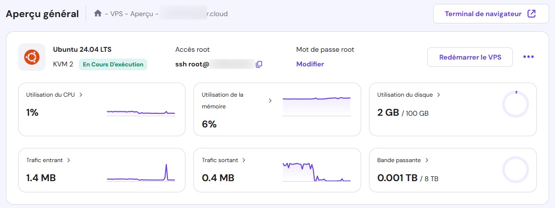 Identifiants d'accès SSH dans le menu d'aperçu du VPS de hPanel