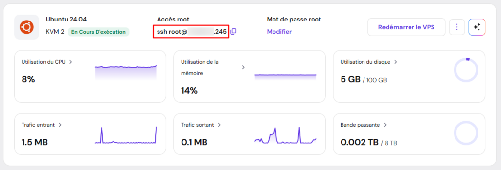 Aper&ccedil;u g&eacute;n&eacute;ral de VPS mettant en &eacute;vidence les identifiants d'acc&egrave;s &agrave; la racine
