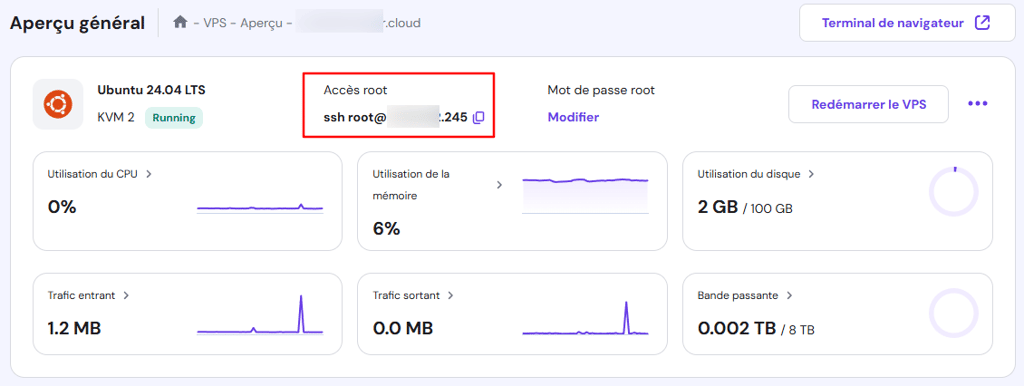 Page Aper&ccedil;u g&eacute;n&eacute;ral du VPS de hPanel