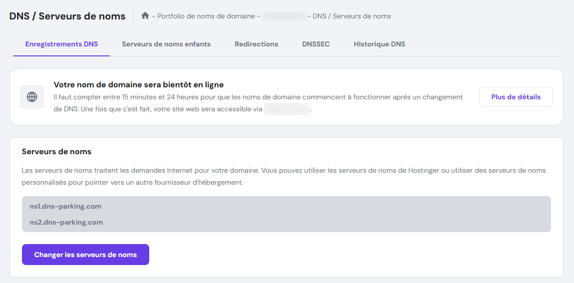 Menu DNS / Serveurs de noms de hPanel avec les enregistrements DNS sélectionnés