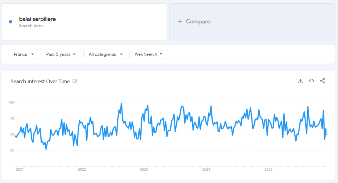 Données de Google Trends pour « balai serpillère » sur 5 ans
