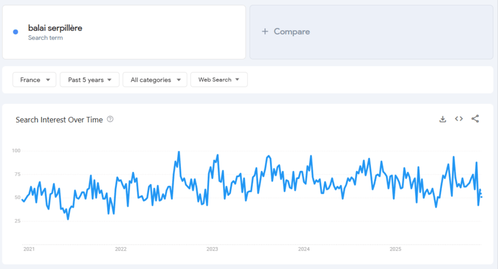 Donn&eacute;es de Google Trends pour &laquo; balai serpill&egrave;re &raquo; sur 5 ans