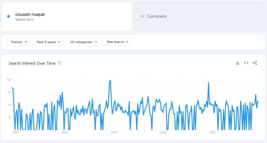 Donn&eacute;es de Google Trends pour &laquo; coussin pour nuque &raquo; sur 5 ans