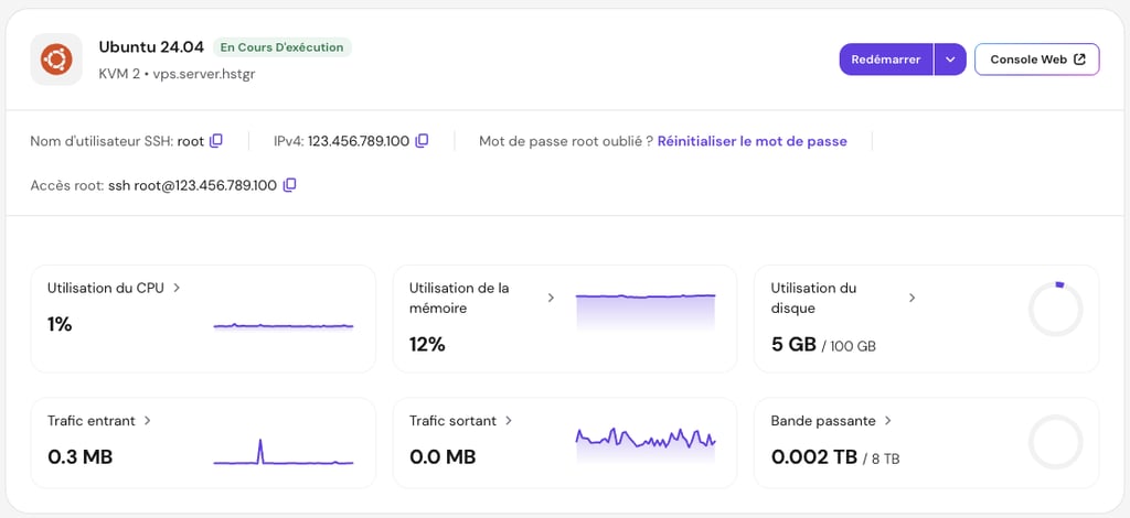hpanel-vps-overview-panelaccess Les identifiants de connexion SSH dans le menu « Aperçu du VPS » de hPanel