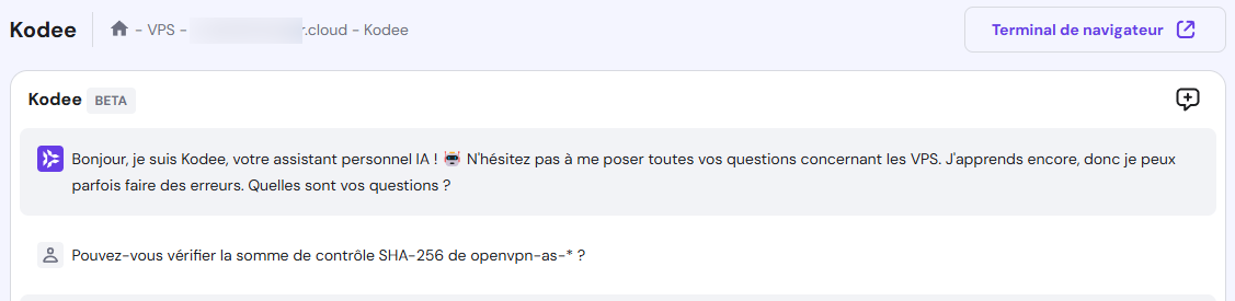 utiliser la fonction Kodee de Hostinger VPS pour vérifier la somme de contrôle SHA-256 du paquet