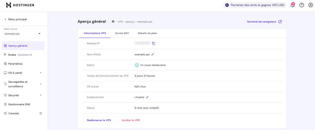 Aperçu d'un VPS individuel
