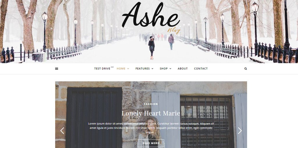 Ashe, un th&egrave;me de blog WordPress gratuit 
