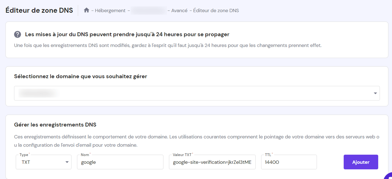 Capture d'&eacute;cran de l'&Eacute;diteur de zone DNS montrant o&ugrave; ajouter l'enregistrement.