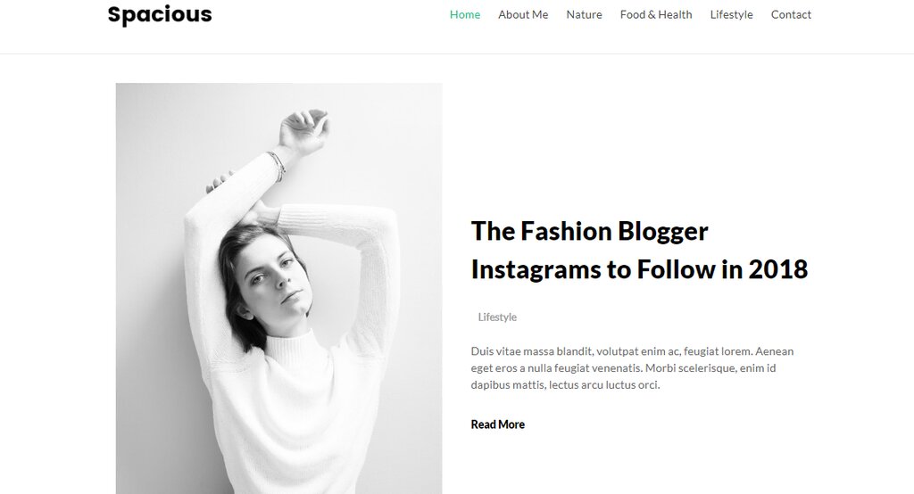 spacious, un th&egrave;me de blog WordPress gratuit 