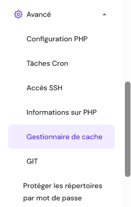 Sélectionner Gestionnaire de cache sur hPanel