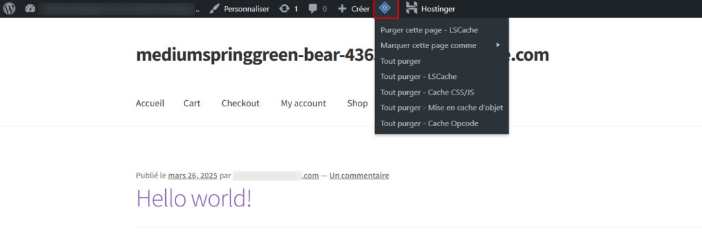 Accéder au menu de LiteSpeed Cache dans la barre d'administration