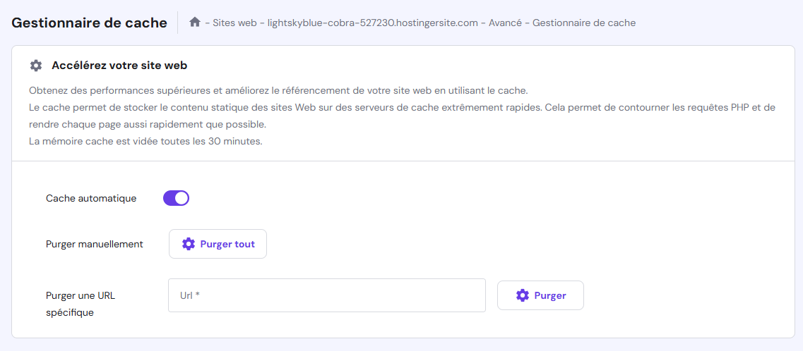 Purger tout le cache à l'aide du Gestionnaire de cache de hPanel