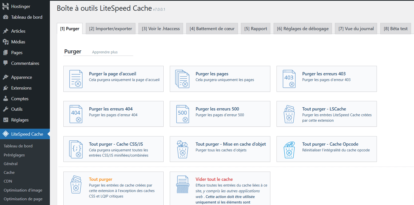 Onglet Purger le cache de LiteSpeed Cache