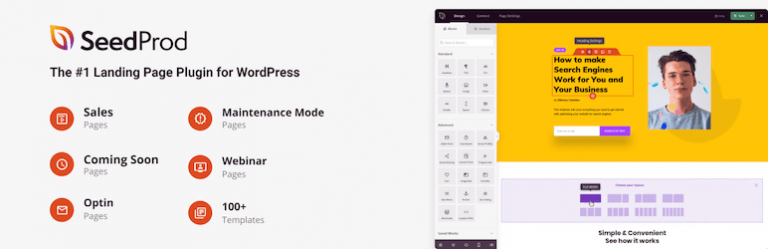 La banni&egrave;re du plugin SeedProd WordPress