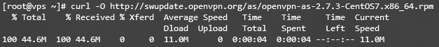 R&eacute;sultat du terminal lors du t&eacute;l&eacute;chargement du paquet OpenVPN
