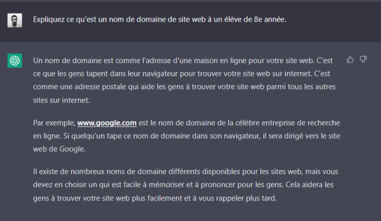 Une explication simplifi&eacute;e du nom de domaine g&eacute;n&eacute;r&eacute;e par ChatGPT