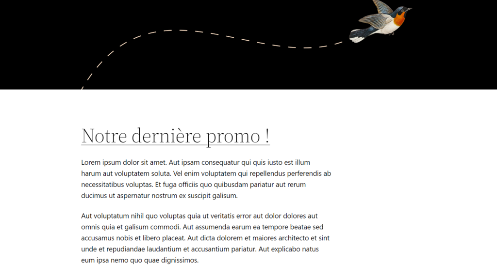 Un exemple de page d'accueil WordPress personnalisée affichant un seul article