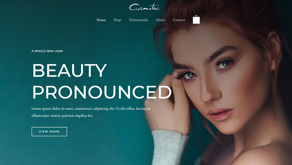 theme-woocommerce-astra Le thème WooCommerce WordPress Astra