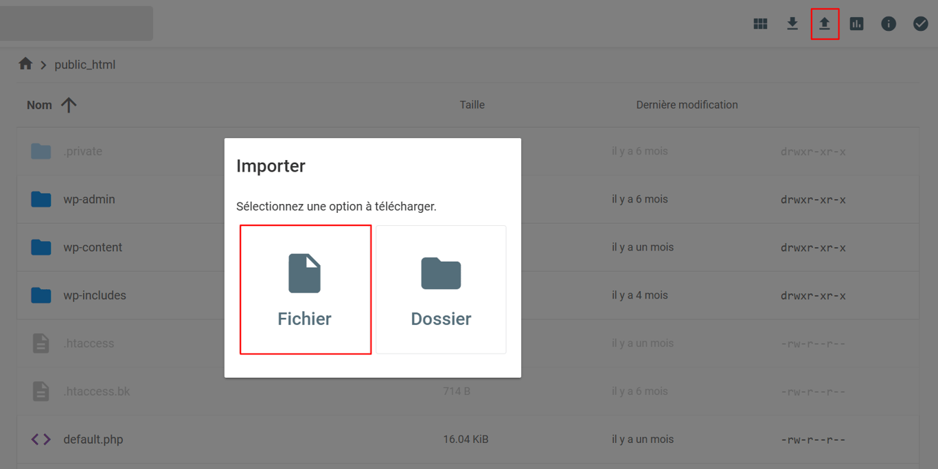 importer un fichier sous public_html sur hPanel