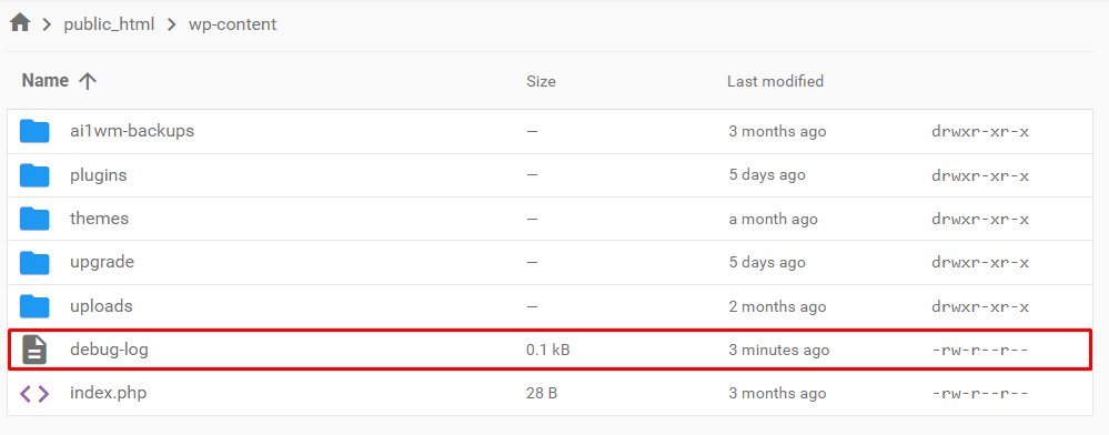 fichier-debug-log Le fichier debug-log dans le gestionnaire de fichiers de hPanel