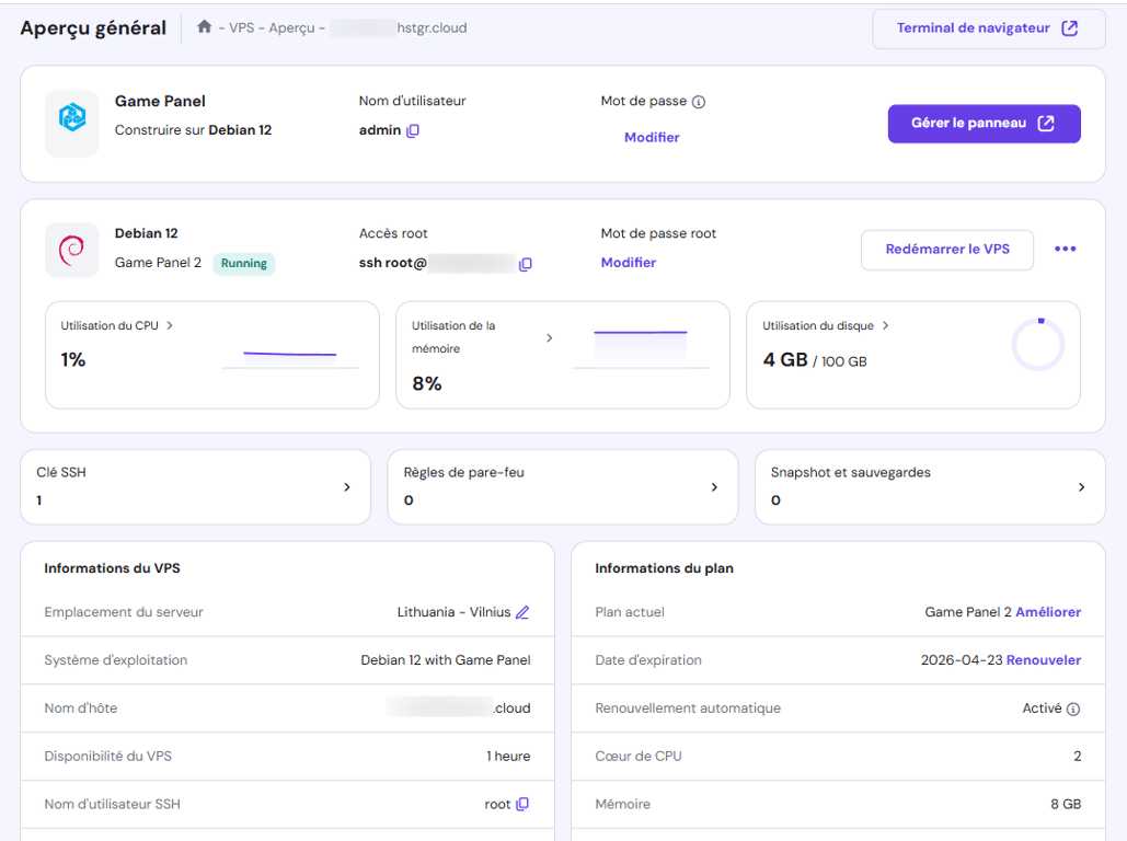 Menu aperçu général du VPS dans hPanel