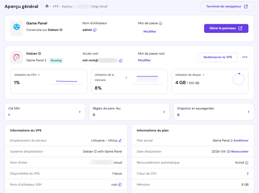 Menu aper&ccedil;u g&eacute;n&eacute;ral du VPS dans hPanel