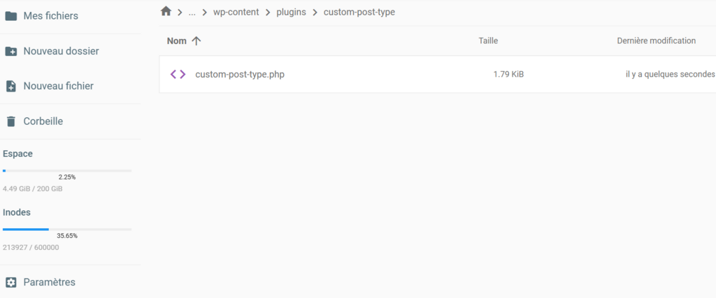 Le fichier php du plugin personnalisé dans le dossier plugin du site web