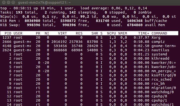 Utilisation de la commande top