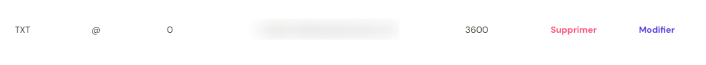 Options d'enregistrement TXT &agrave; &eacute;diter dans hpanel