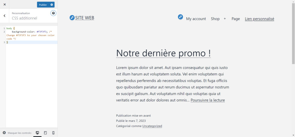 Personnalisation de la couleur de fond du site avec CSS personnalisé dans le personnalisateur de thème WordPress