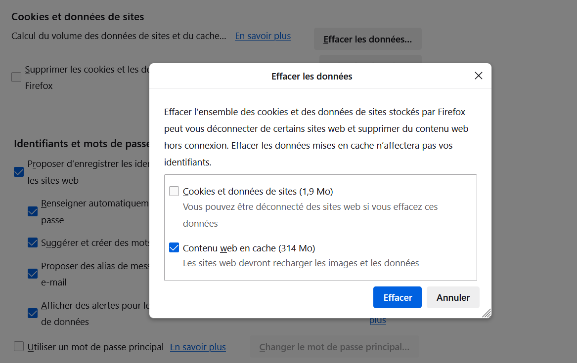 Pop up avec cookies et données de site décochés et contenu web mis en cache coché