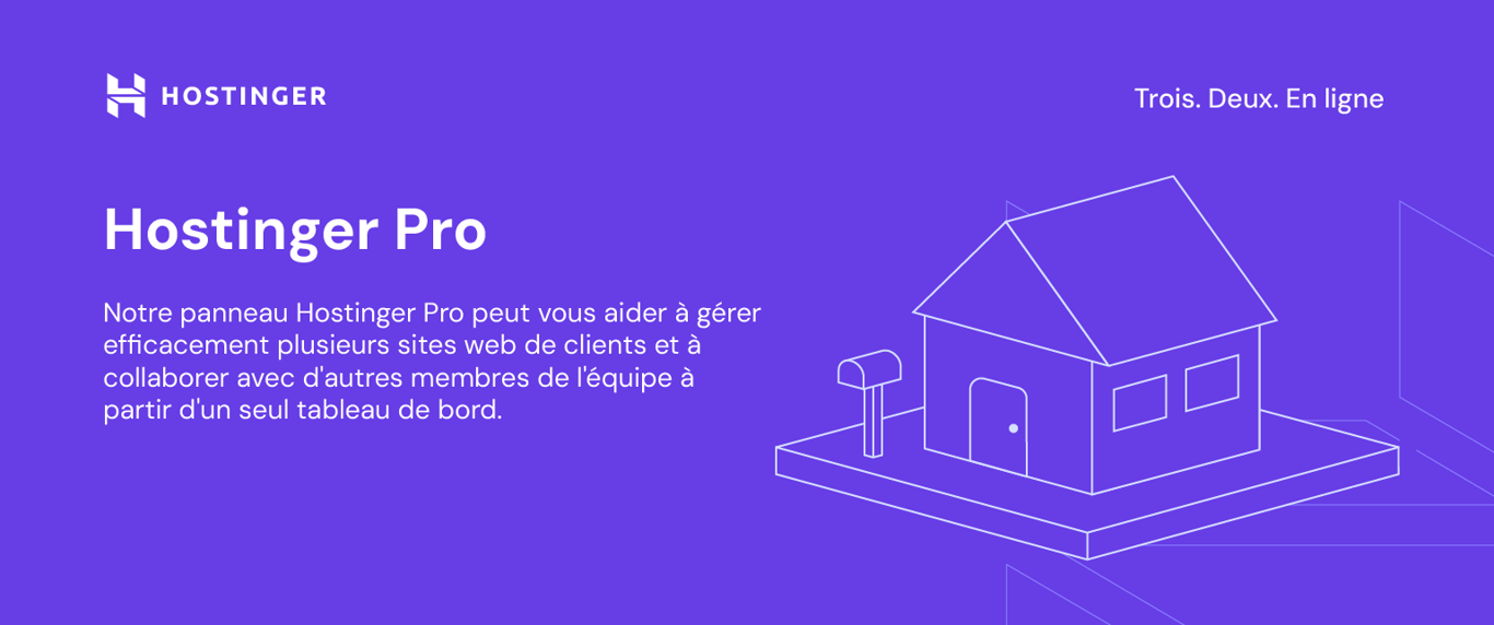 Illustration d'Hostinger pour Hostinger Pro