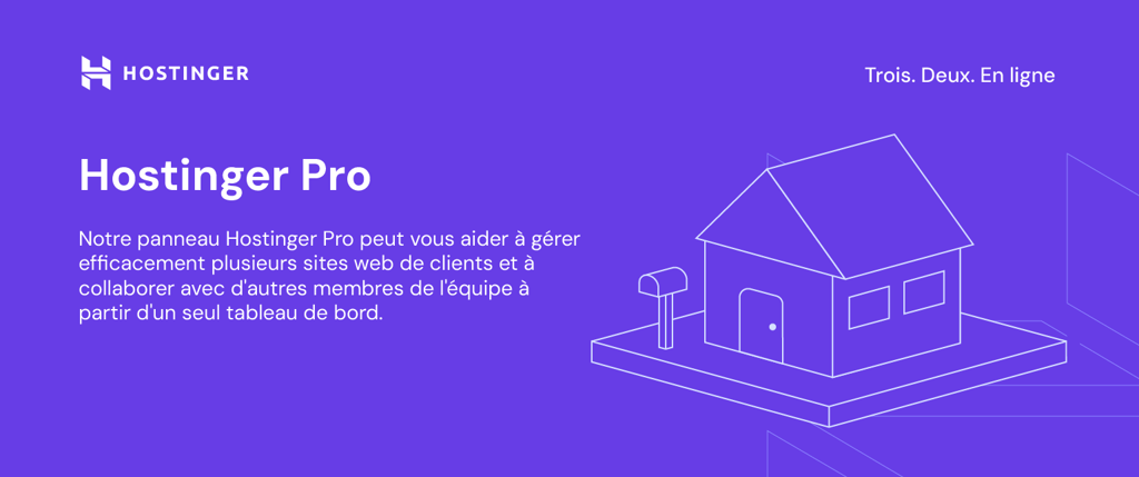 Illustration-Hostinger-Pro Illustration d'Hostinger pour Hostinger Pro