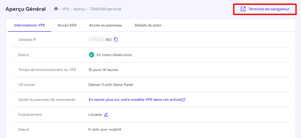 terminal-de-navigateur L'emplacement du terminal de navigateur dans le menu de gestion du VPS de hPanel