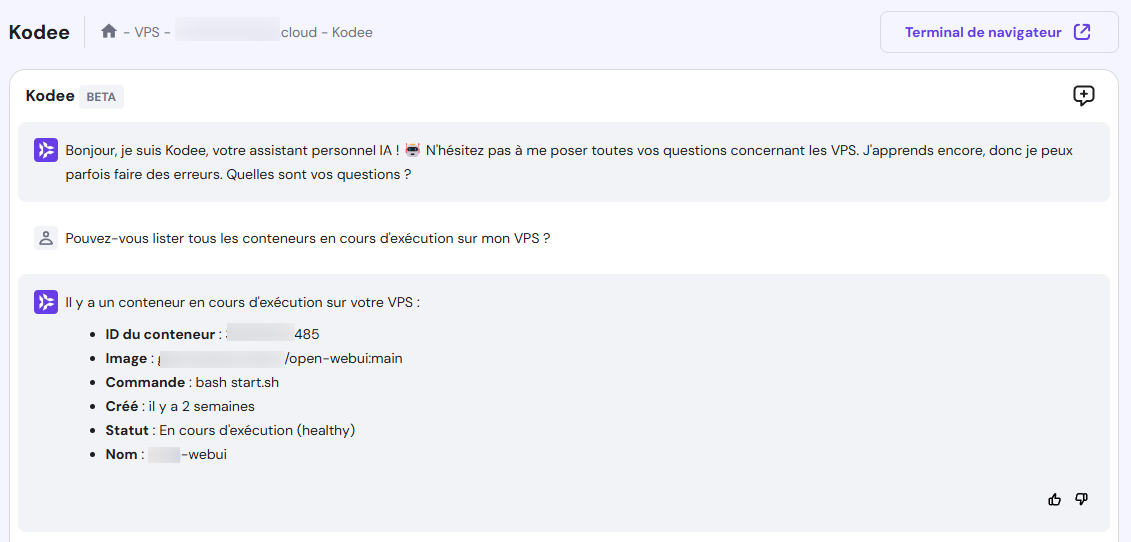 Lister les conteneurs en cours d'exécution sur le VPS