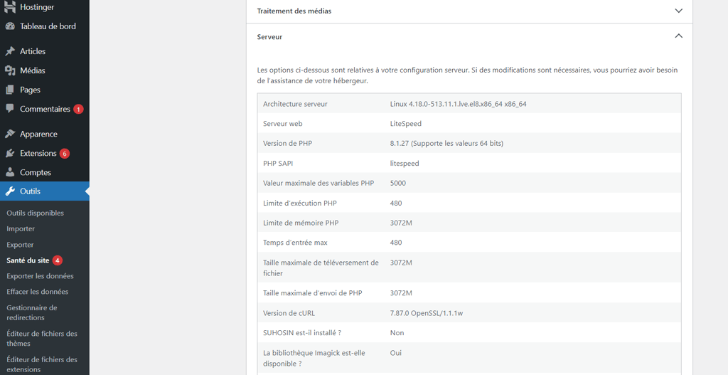 Page de sant&eacute; du site WordPress