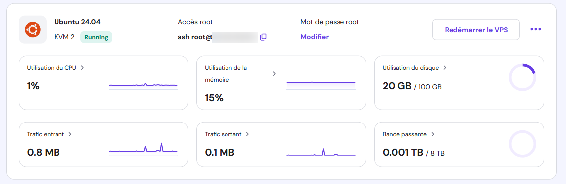 Statut du serveur VPS sur hPanel