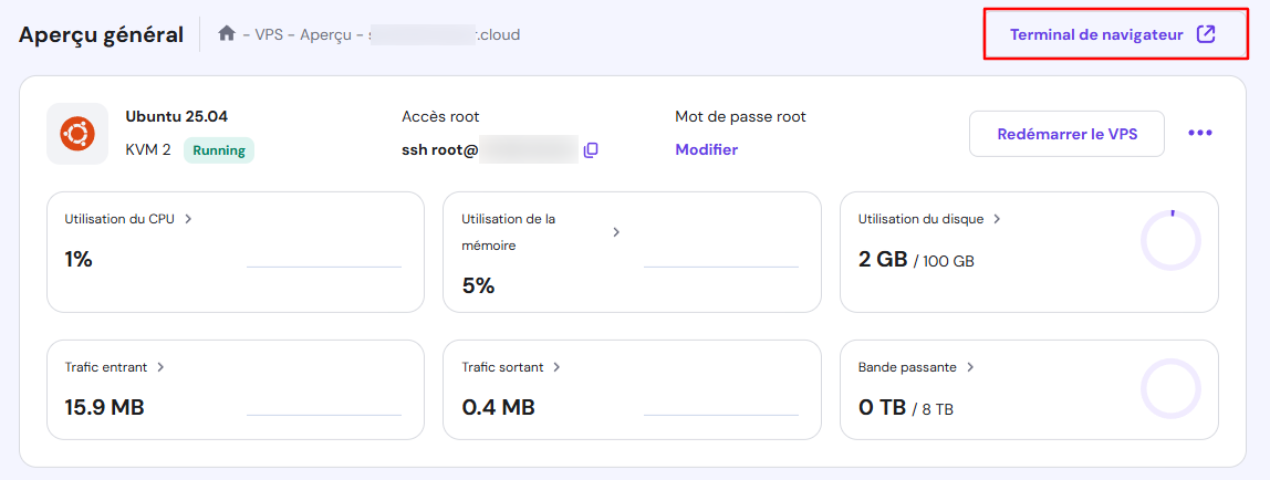 Le bouton Terminal du navigateur dans le menu d'aperçu du VPS de hPanel