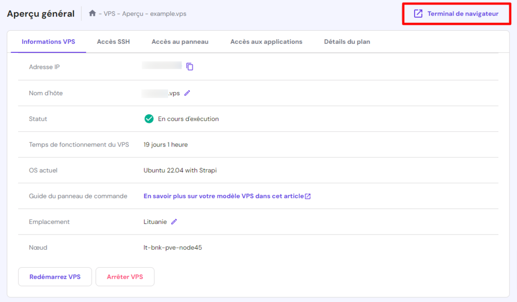 Tableau de bord de l'h&eacute;bergement VPS Hostinger mettant en &eacute;vidence l'acc&egrave;s au terminal du navigateur