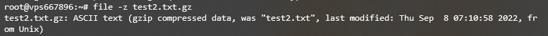 Vérifier un fichier compressé à l'aide de la commande Linux file dans le terminal