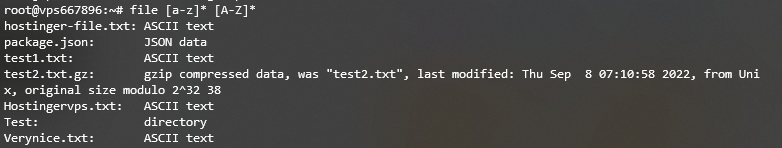 Énumérer les types de fichiers dans plusieurs plages à l'aide de la commande Linux file sur Terminal