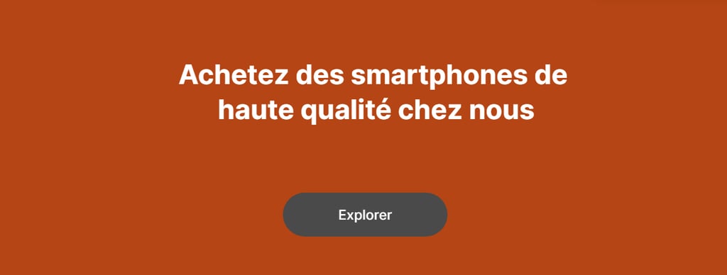 mauvais-exemples-de-conception-de-sites Un titre et un bouton sur la page d'accueil du mauvais site web.