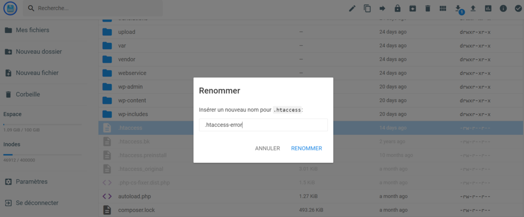 La fen&ecirc;tre contextuelle Renommer appara&icirc;t dans le gestionnaire de fichiers du hPanel, o&ugrave; vous pouvez renommer le fichier .htaccess.