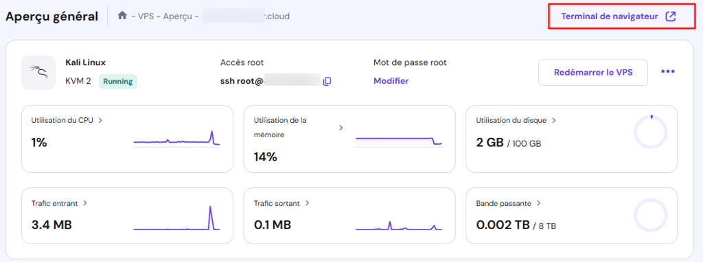 Le bouton du terminal du navigateur dans le VPS de hPanel