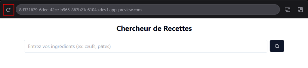 Aper&ccedil;u de l'application web mettant en &eacute;vidence le bouton d'actualisation