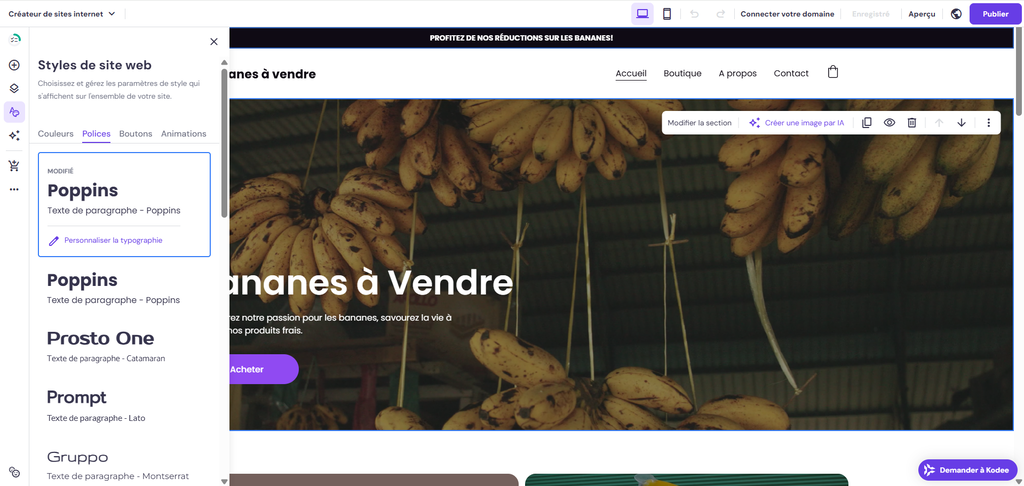 Menu Styles du site web avec l&rsquo;onglet Polices d&eacute;pli&eacute;